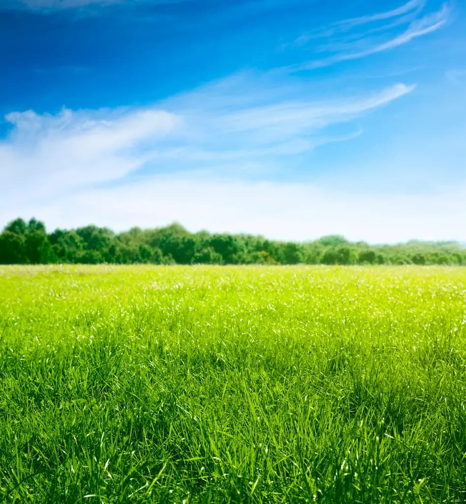 2020 Sustainability Report